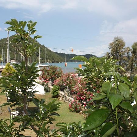 Palmiye Hotel & Marina Orhaniye  Ngoại thất bức ảnh